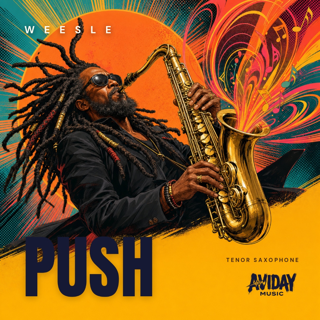 PUSH by Weesle album cover